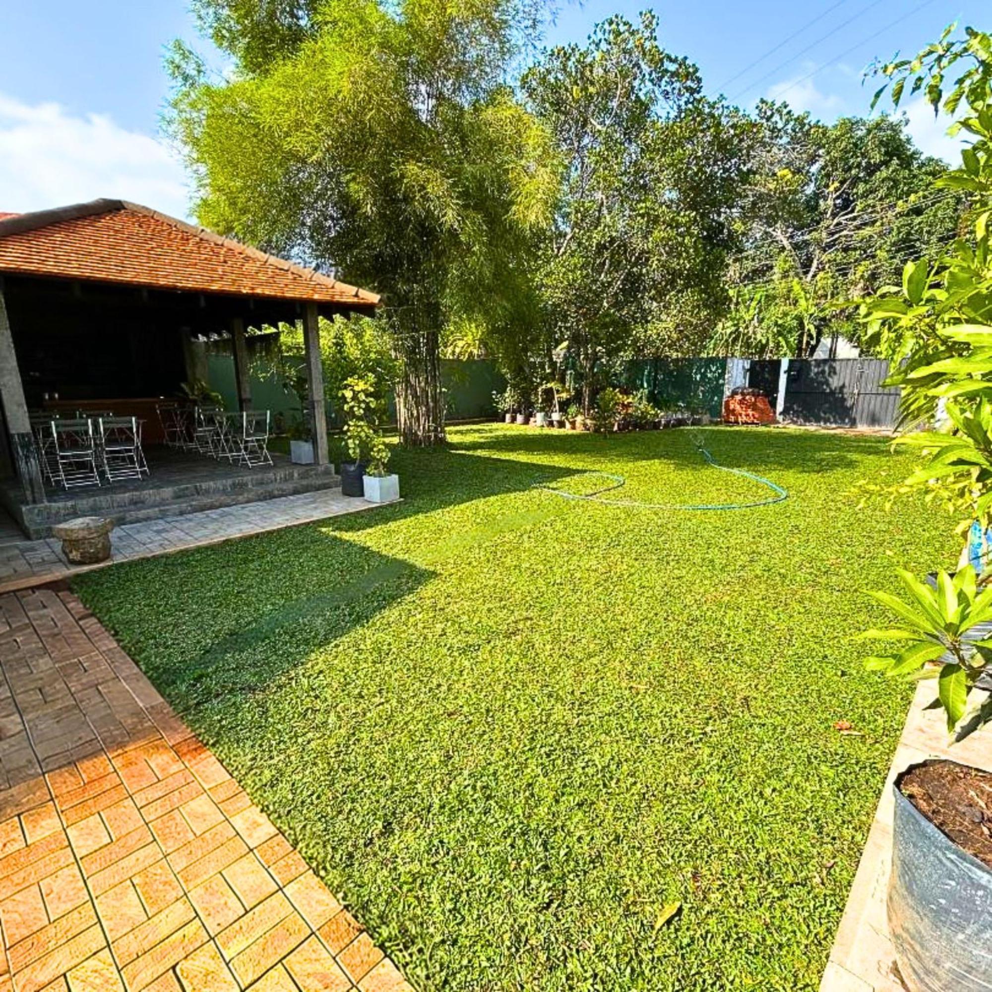The Ivy Anurâdhapura