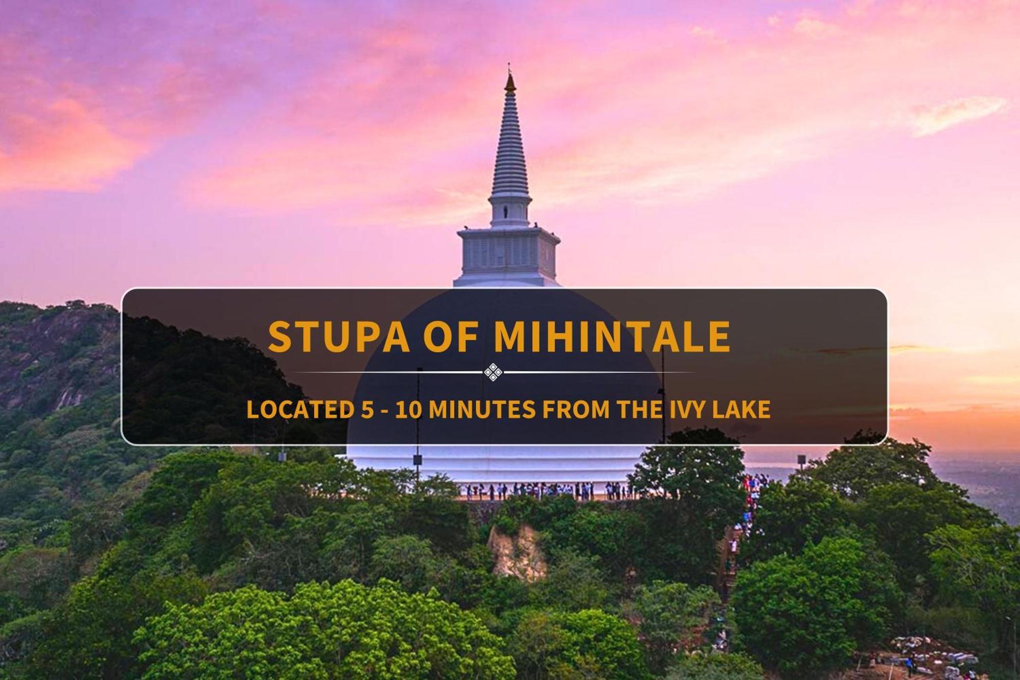 The Ivy Anuradhapura