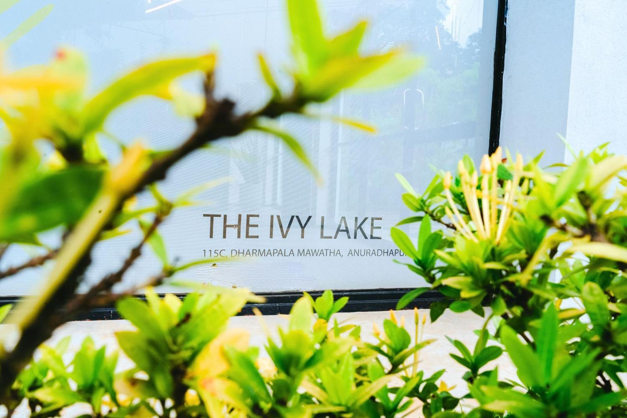 The Ivy Anuradhapura